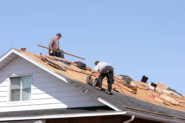 Sheet Metal Roofing in Kaumakani, HI